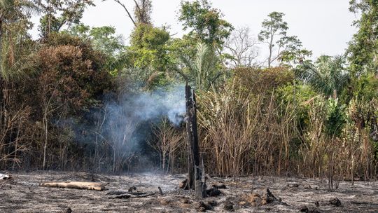 Terras indígenas na Amazônia têm maior número de queimadas desde 2011