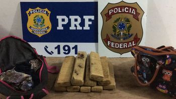 Passageira de ônibus é flagrada ao transportar maconha em bolsas na BR-364  