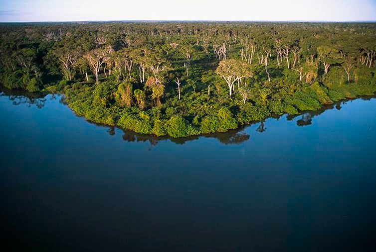 Projeto Juntos pelo Araguaia quer recompor áreas florestais