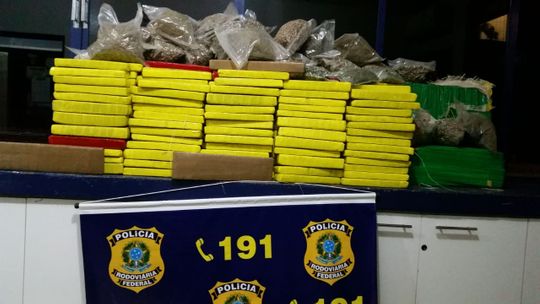 Casal é preso pela PRF com quase 300 kg de maconha e Skank