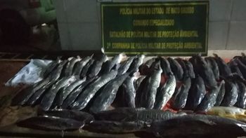 Polícia Ambiental apreende quase 650 kg de pescado próximo a Aldeia Tadarimana