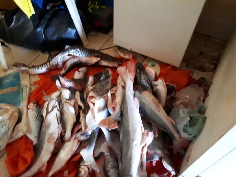 Sema apreende 91 kg de pescado irregular, armas de fogo e apetrechos em rios de MT