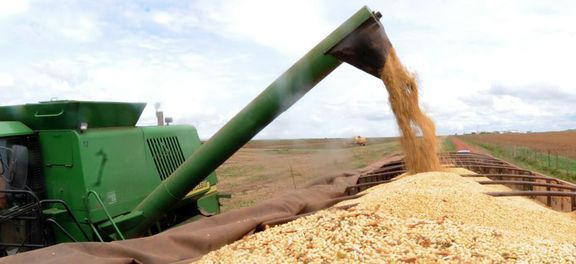 Previsão de safra recorde de grãos sobe e atinge 242 milhões de toneladas