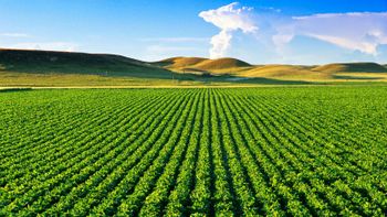 Balança do agronegócio tem melhor resultado desde 2014