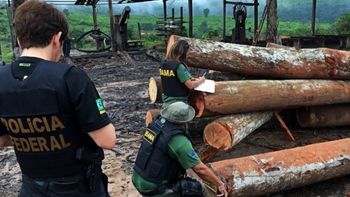PF delfagra operação contra exploração ilícita de madeiras na Amazônia