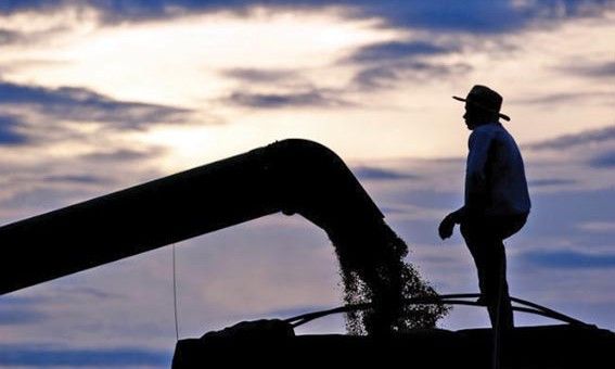 Ao TSE, maioria dos candidatos brasileiros se dizem agricultores