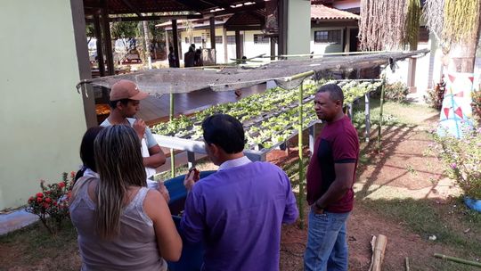 Secretaria de Agricultura ensina cultivo de horta a comunidades da rede pública de ensino