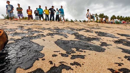 Pesca de camarão e lagosta será proibida a partir de 1º de novembro onde foi encontrado óleo