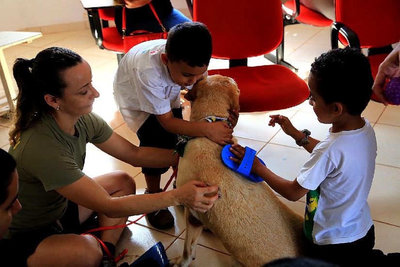 Cães auxiliam na reabilitação de crianças com autismo e paralisia cerebral