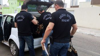 Esquema de emissão de notas frias causou prejuízo de R$ 337 milhões