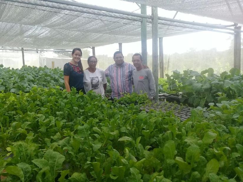 Projeto elaborado na Escola de Saúde ajuda a melhorar qualidade da merenda
