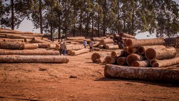 Primeira fiscalização da Plataforma Planet gera R$ 7,5 milhões em multas