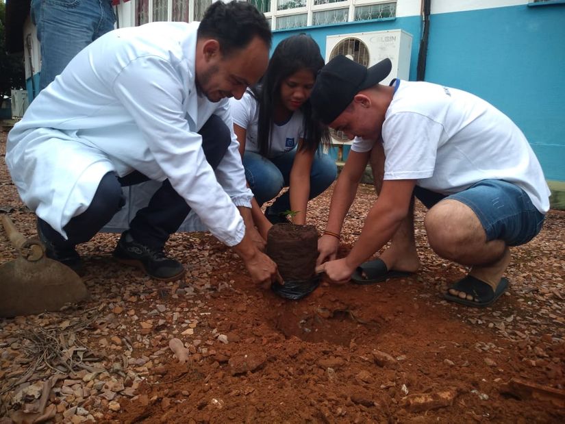 Alunos plantam muda de Nim indiano em Escola Técnica