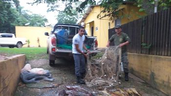 Em 75 dias de piracema, 2,6 toneladas de pescado são apreendidas