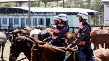 Técnica de Policiamento a cavalo de MT é ministrada para PM do Rio de Janeiro