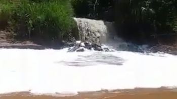 Substância suspeita no Rio Vermelho assusta a população