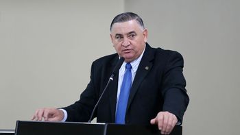 Nininho fala sobre a atuação da Frente Parlamentar de Suinocultura