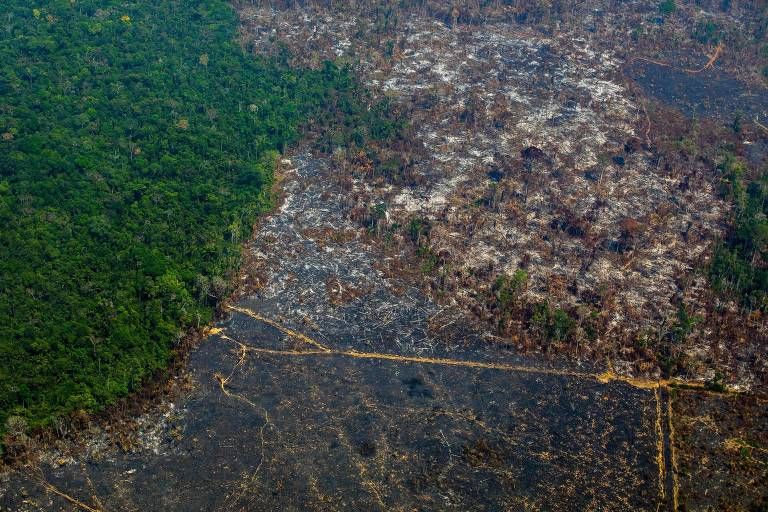 Mato Grosso é o 2° que mais desmata na Amazônia 