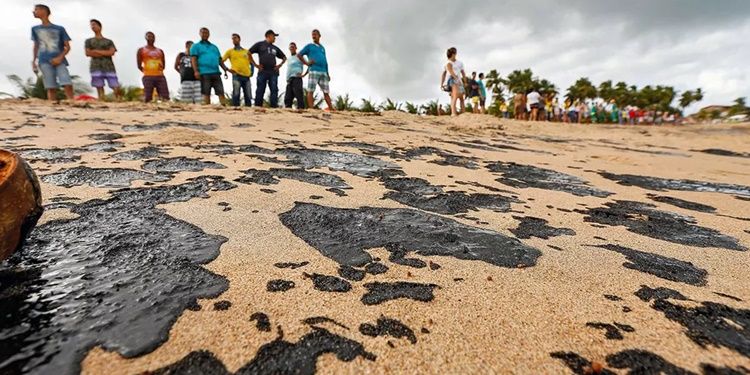 Pesca de camarão e lagosta será proibida a partir de 1º de novembro onde foi encontrado óleo