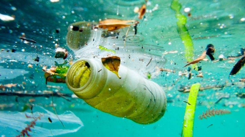 Poluição plástica é tema do Dia Mundial do Meio Ambiente 2018