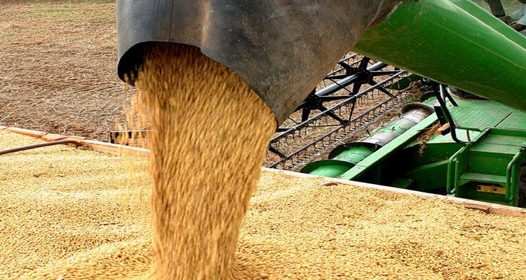 Mato grosso continua na liderança de produção de grãos sendo o maior produtor do país