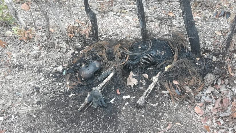 Populares acionam a PM após encontrar corpo carbonizado em sem cabeça em MT