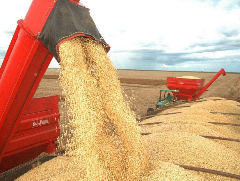 Valor da produção agropecuária de 2018 é de R$ 516,6 bilhões