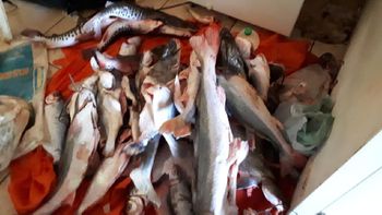 Sema apreende 91 kg de pescado irregular, armas de fogo e apetrechos em rios de MT