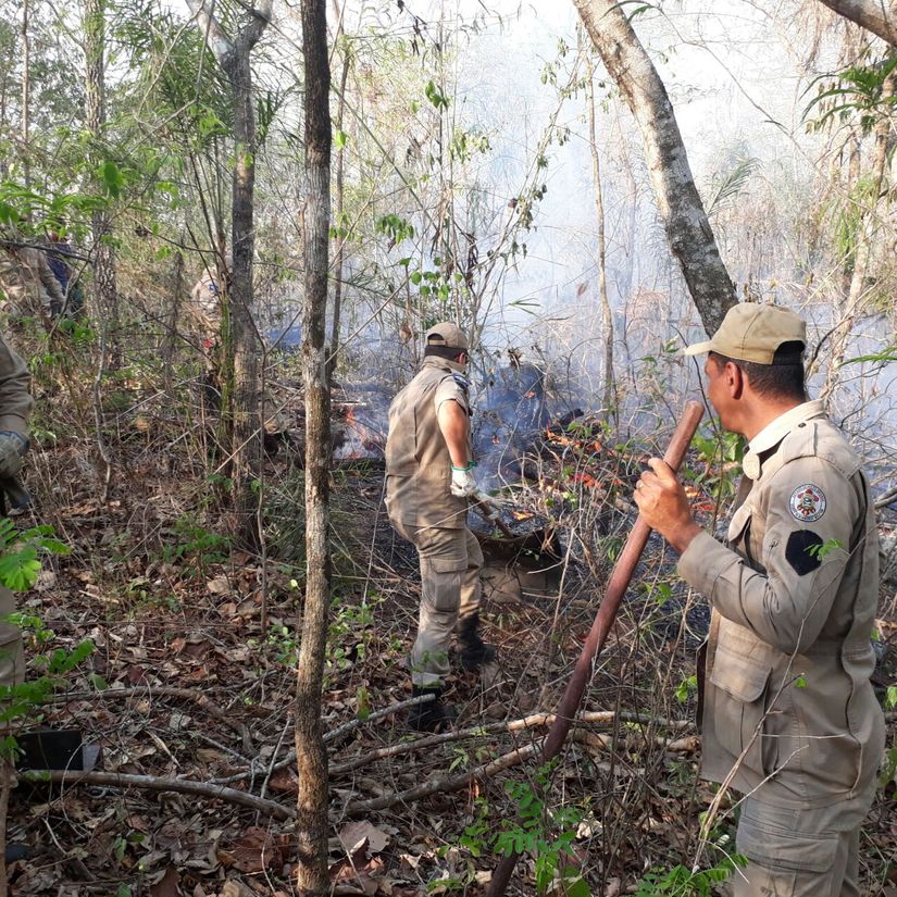 Bombeiros extinguem incêndio na aldeia Tadarimana