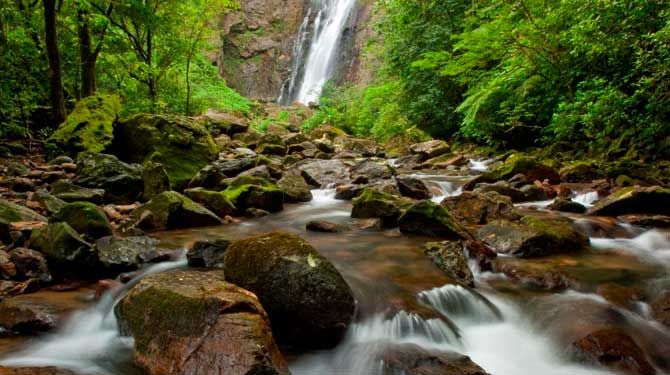 Perto de completar cinco anos, Código Florestal ainda tem pontos a implementar
