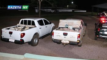 Mais de 700 Kg de pescado impróprio para consumo é apreendido em Rondonópolis