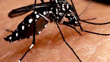 Secretaria de Saúde alerta para o aumento de casos de Dengue, Chikungunya e Zika