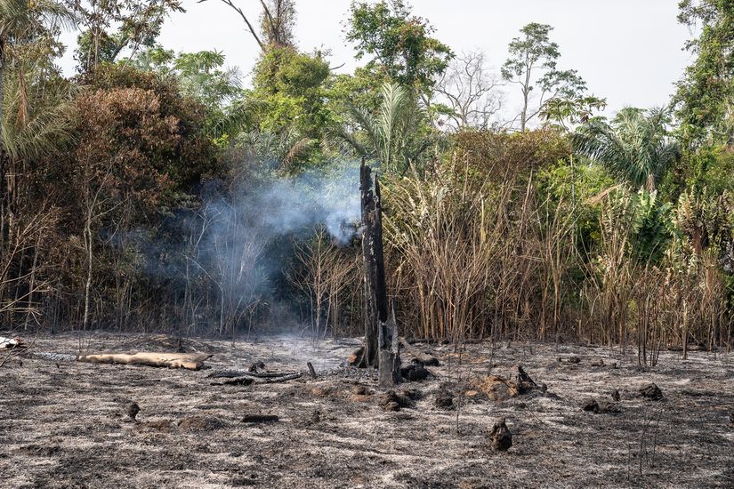 Terras indígenas na Amazônia têm maior número de queimadas desde 2011