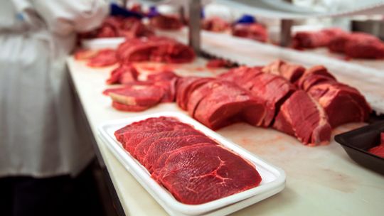 Grupo BRF é investigado por omitir presença de salmonela em carnes