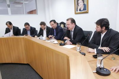 Comissão Especial estuda a atualização da Constituição de Mato Grosso