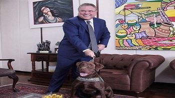 Maggi assina IN que regulamenta uso de farejadores na fiscalização agropecuária