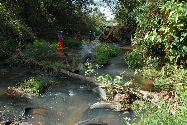 Feriado conta ações voluntárias de conscientização, coleta de lixo e revitalização
