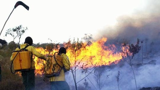 Número de focos cai pelo segundo mês no período proibitivo