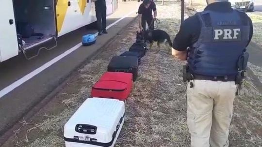 Droga é apreendida no corpo e em mochila de passageira