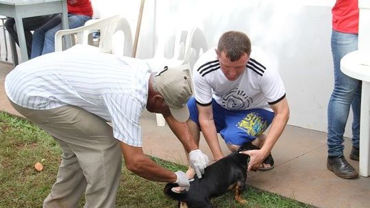 Dia ‘D’ da vacinação antirrábica em Rondonópolis será em 11 de novembro