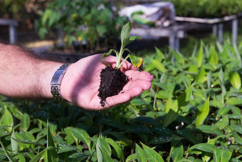 Encontros regionais para elaboração do Plano Estadual da Agricultura Familiar abre inscrições