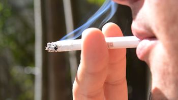 Dia Mundial sem Tabaco alerta para danos causados pela produção do fumo