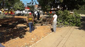Reeducandos trabalham em revitalização de campus da Unemat