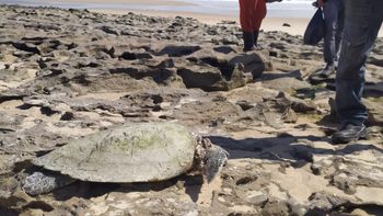 Inquérito sobre óleo no Nordeste ainda é inconclusivo, diz ministro da Defesa