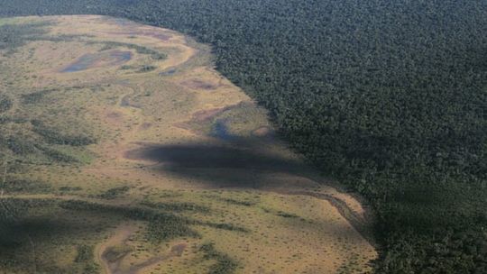 Desmatamento dispara no Xingu, um dos últimos 'escudos' da Amazônia