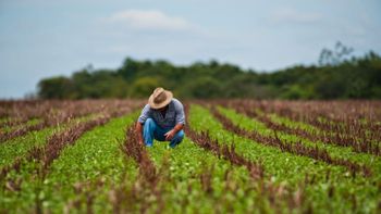 Agropecuária puxa resultado positivo em 2017