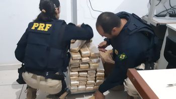 Passageiras são flagradas em ônibus com 65 kg de maconha
