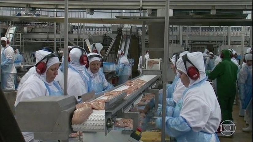 Exportações brasileiras de carne de frango crescem 5,8% até julho