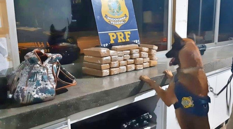 Passageira de ônibus é presa com cerca de 30 kg de maconha