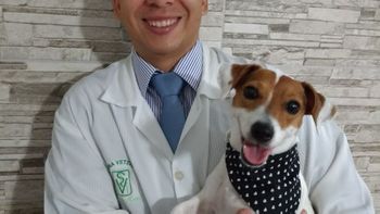Fratura em cães:  são mais comuns do que se pensa !